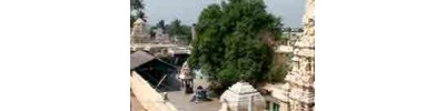 238. திருக்கச்சிமேற்றளி